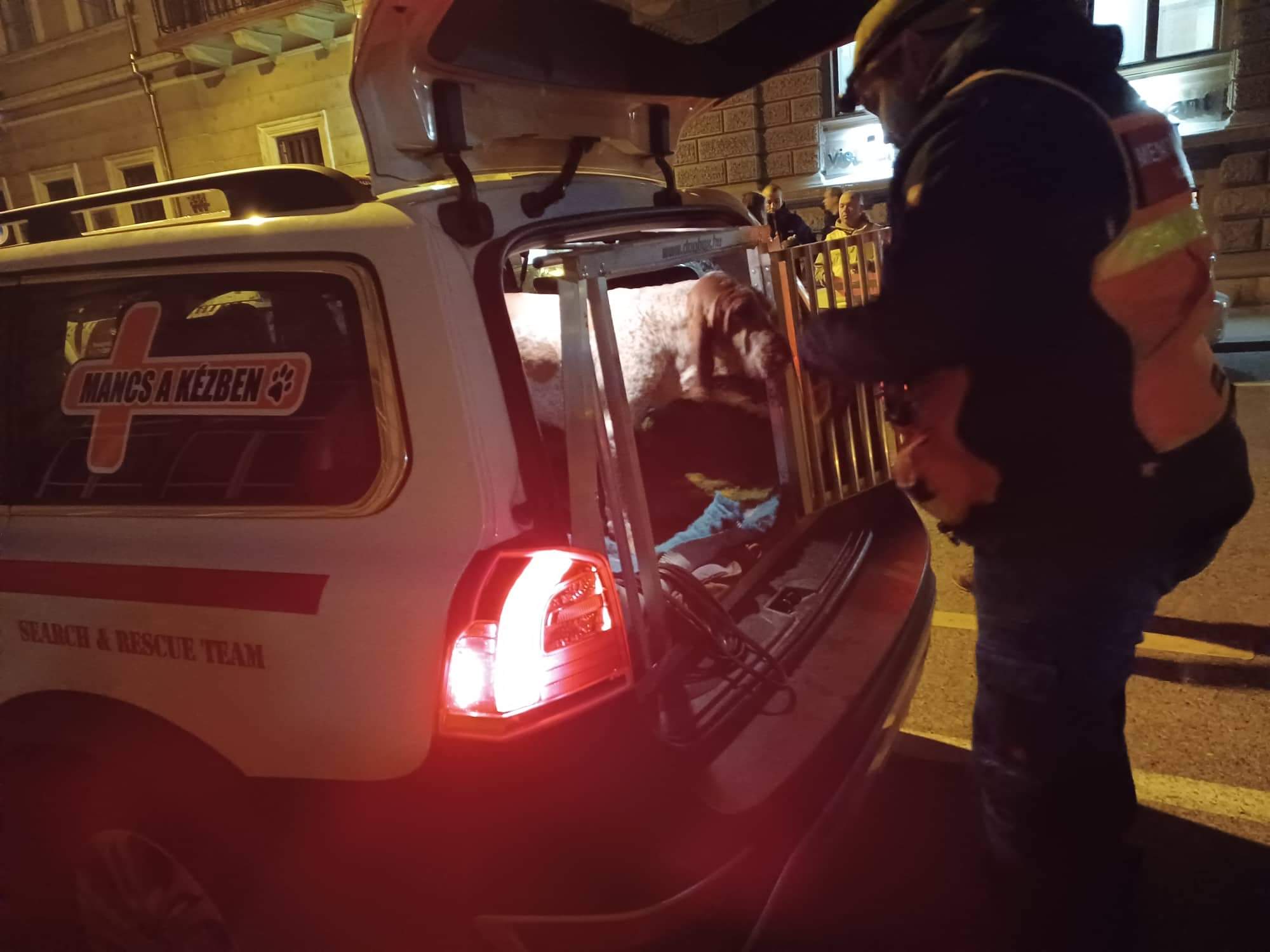 Received 628841302304280