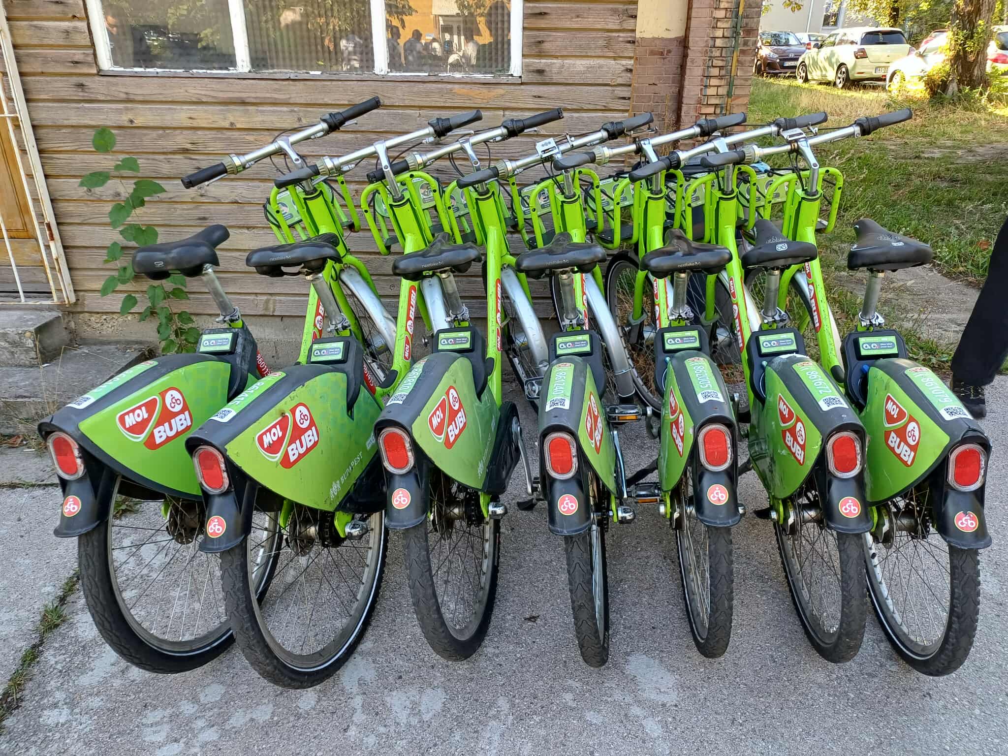 548137495 772463798863122 3376866237373256756 N