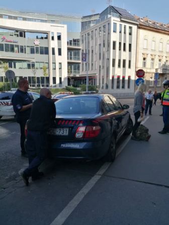 242891732 613114039678796 3588789688216168889 N