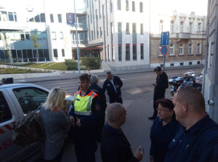 242900880 1238531633240119 7315761007005815330 N