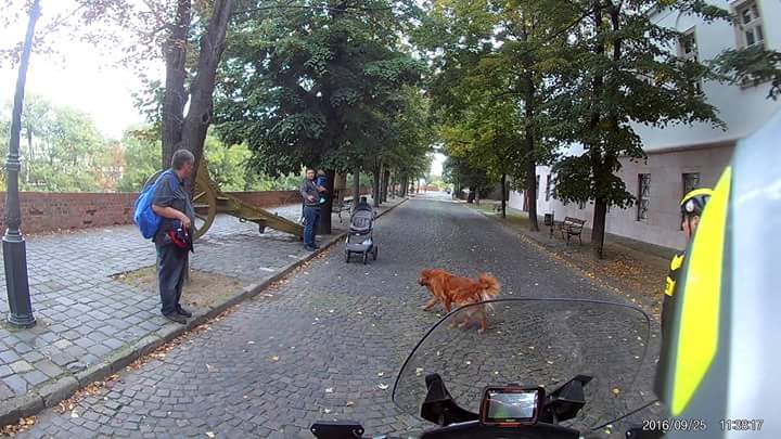 FB IMG 1617732522148