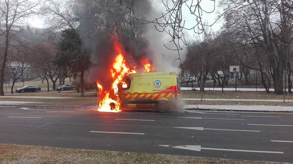 FB IMG 1617733409836