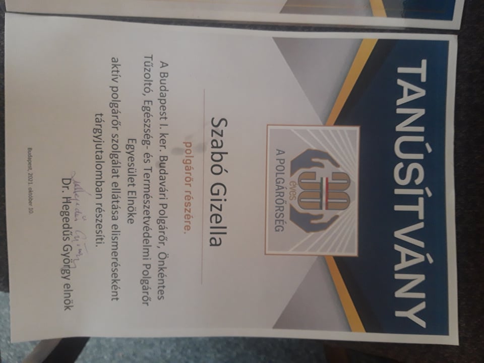 244986608 889105215136221 2638294015089614326 N