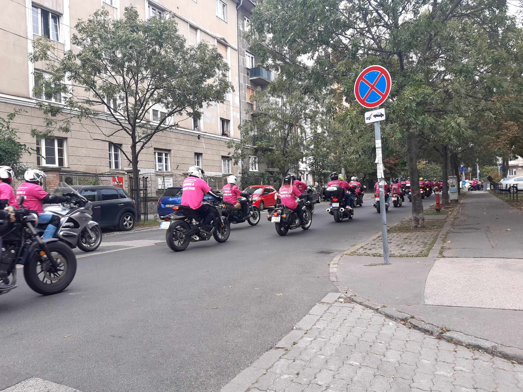 383088339 633005312213818 6613433514261387756 N