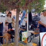 20250525 130857 11zon