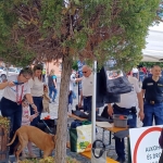 20250525 130900 11zon